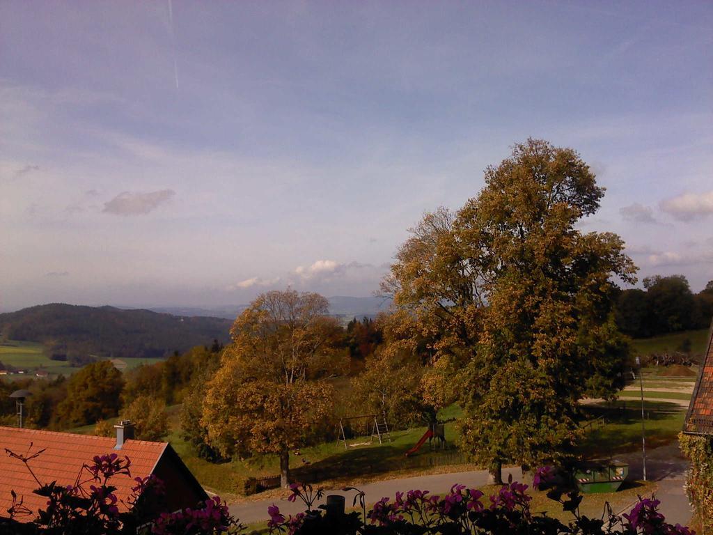 Ferienwohnung Uschkereit Waldmunchen Bagian luar foto
