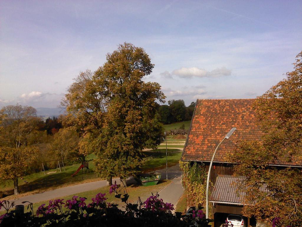 Ferienwohnung Uschkereit Waldmunchen Bagian luar foto